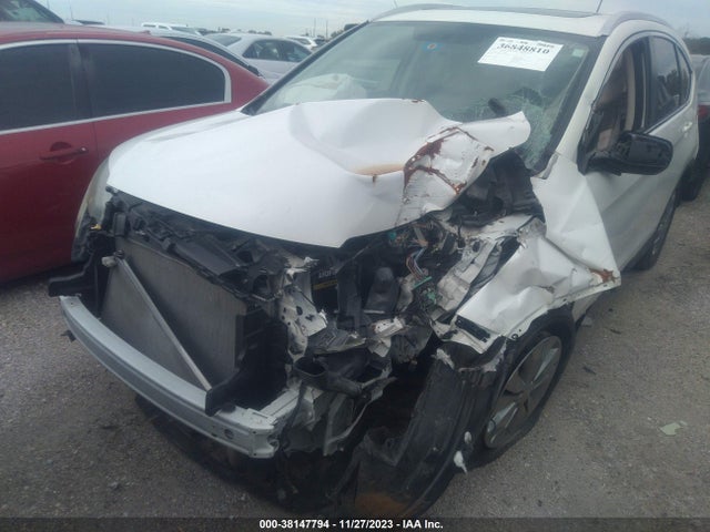 Honda Cr-v Ex-l 2014 5J6RM3H74EL039608 Image 6