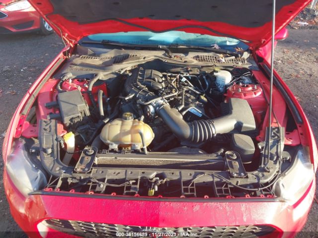 1FA6P8AM4F5336239 Ford Mustang V6