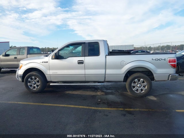 2013 FORD F-150 XLT VIN: 1FTFX1ET0DFA12974
