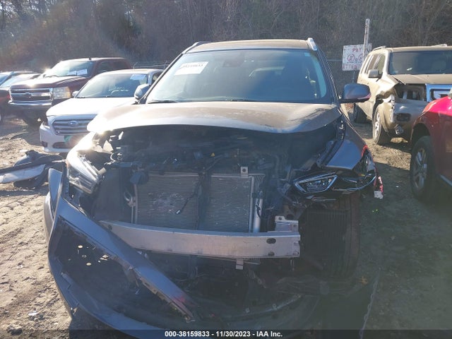 2019 INFINITI QX60 LUXE VIN: 5N1DL0MM1KC517679