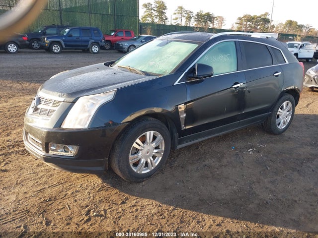 2011 CADILLAC SRX LUXURY COLLECTION VIN: 3GYFNDEY8BS648175