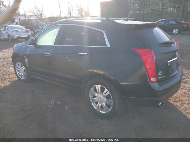 2011 CADILLAC SRX LUXURY COLLECTION VIN: 3GYFNDEY8BS648175