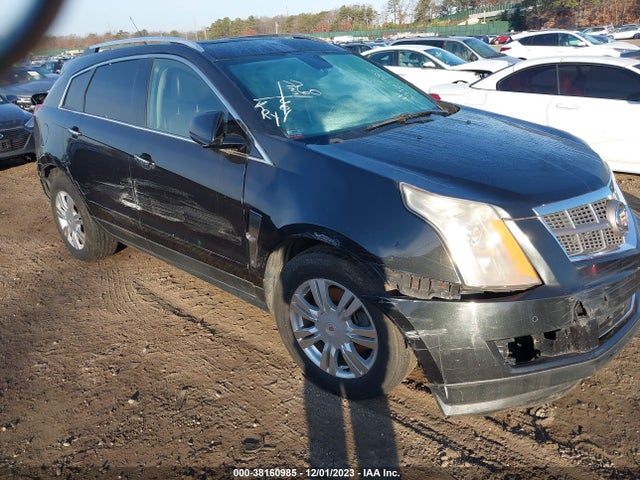 2011 CADILLAC SRX LUXURY COLLECTION VIN: 3GYFNDEY8BS648175