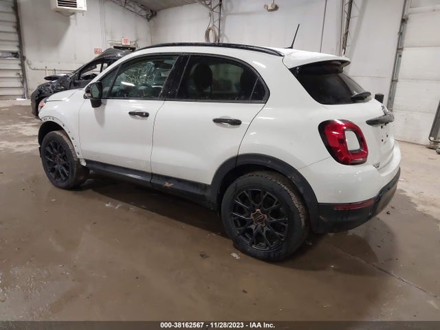 2019 FIAT 500X ZFBNFYB13KP799701 Photo 2