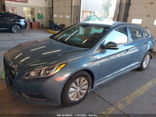 KMHE24L16GA031216 Hyundai Sonata Hybrid Se