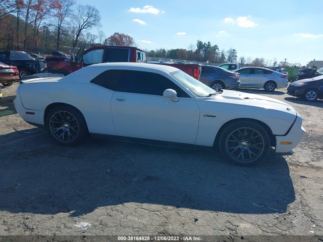 Dodge Challenger Sxt 2014 2C3CDYAG7EH208427 Image 13