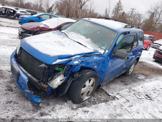 2011 FORD ESCAPE XLT VIN: 1FMCU0DG2BKC41201