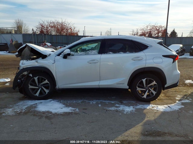 2018 LEXUS NX 300H VIN: JTJBJRBZ1J2084564
