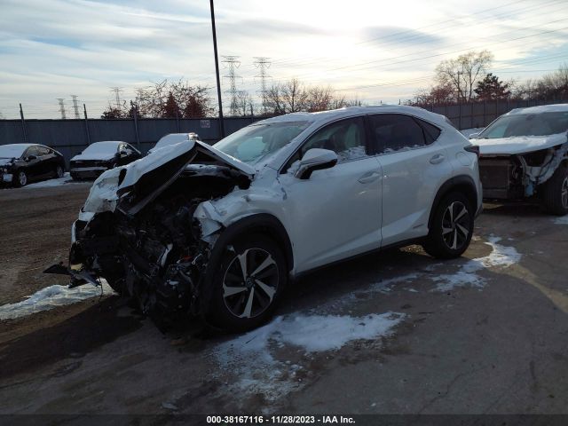 2018 LEXUS NX 300H JTJBJRBZ1J2084564 Photo 1