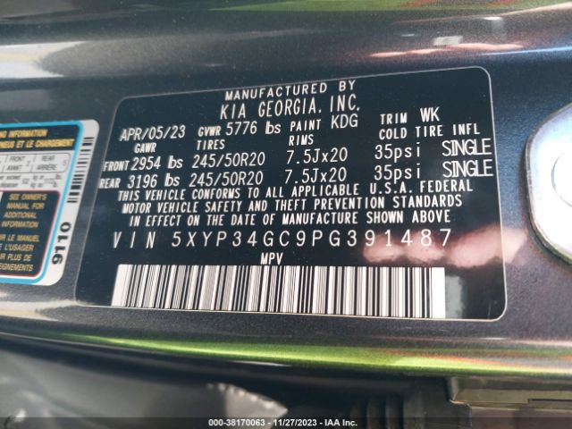 5XYP34GC9PG391487 KIA Telluride Ex