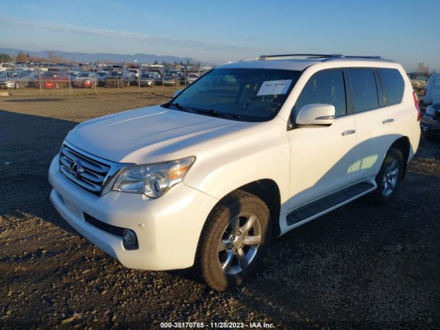 2010 LEXUS GX 460 JTJBM7FX6A5012522 Photo 1