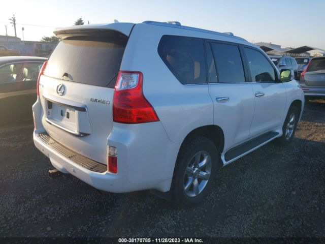 2010 LEXUS GX 460 JTJBM7FX6A5012522 Photo 3