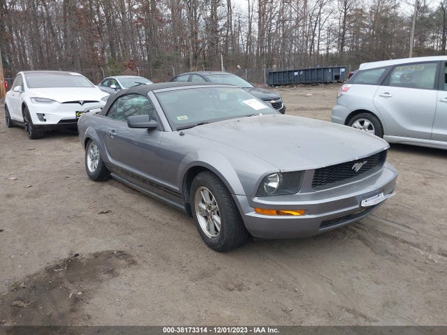 2006 FORD MUSTANG V6 VIN: 1ZVHT84N565128757