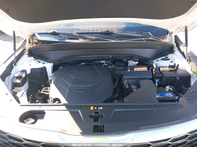 KIA Telluride Ex 2020 5XYP34HC6LG054364 Image 10
