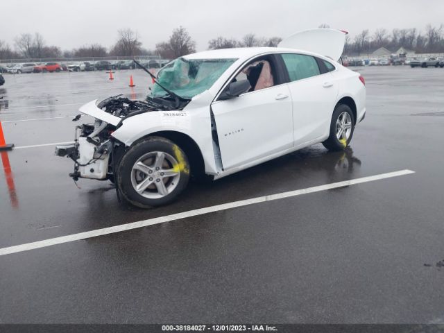 1G1ZB5ST5PF116171 Chevrolet Malibu Fwd Ls
