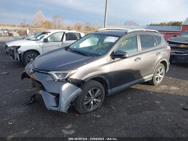 Toyota Rav4 Xle 2016 2T3RFREV2GW528515 Image 2