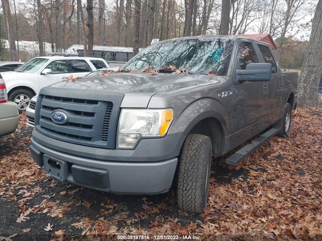 2010 FORD F-150 XL VIN: 1FTEW1CW2AFD91693