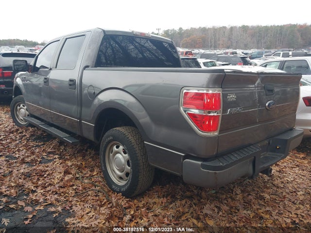 2010 FORD F-150 XL VIN: 1FTEW1CW2AFD91693