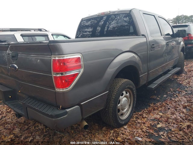 2010 FORD F-150 XL VIN: 1FTEW1CW2AFD91693