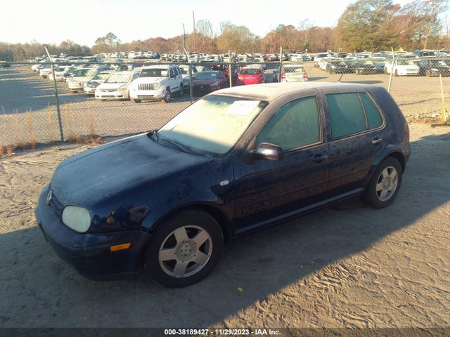 2002 VOLKSWAGEN GOLF GLS VIN: 9BWGP61J324039980