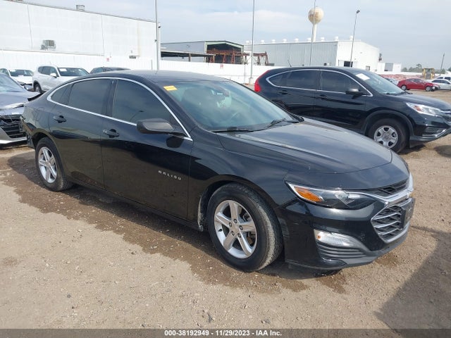 2019 1G1ZB5ST5KF206008 main image