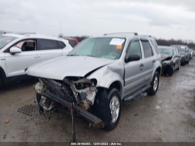 2007 FORD ESCAPE XLT SPORT/XLT VIN: 1FMYU03137KA21446