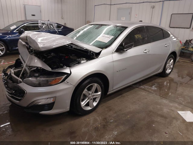 Chevrolet Malibu 1fl 2019 1G1ZC5ST8KF180341 Image 2
