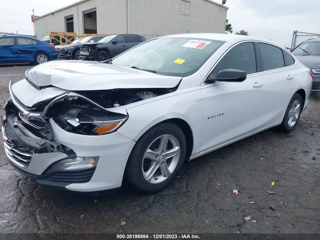 Chevrolet Malibu 1ls 2019 1G1ZB5ST6KF225845 Image 2
