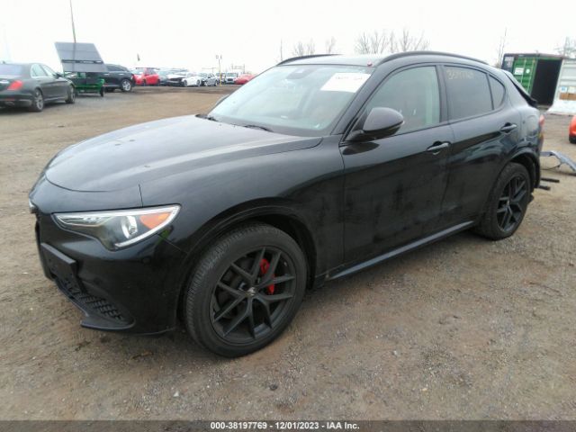 2020 ALFA ROMEO STELVIO ZASPAKBN8L7C97604 Photo 1