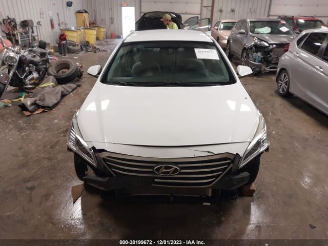 5NPE24AF9GH304810 Hyundai SONATA SE