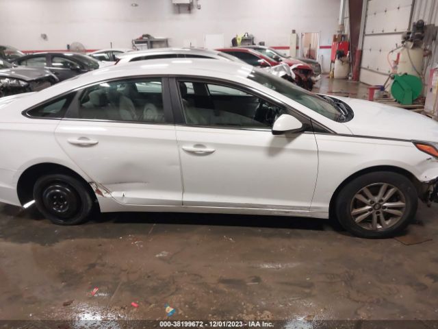5NPE24AF9GH304810 Hyundai SONATA SE