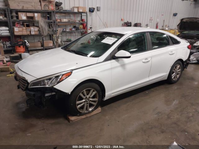 5NPE24AF9GH304810 Hyundai SONATA SE
