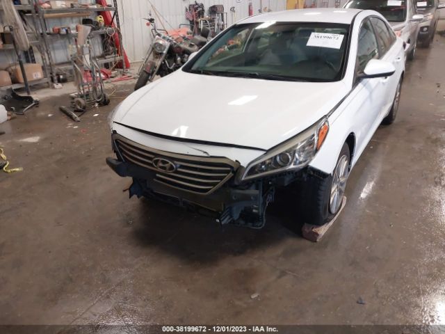 5NPE24AF9GH304810 Hyundai SONATA SE