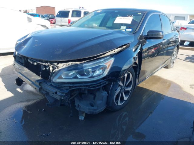 1HGCR2F81GA243818 Honda Accord Ex-l