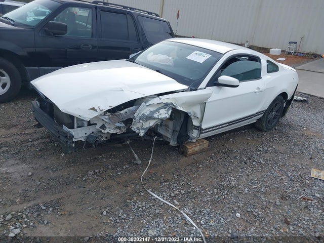 2013 FORD MUSTANG V6 PREMIUM VIN: 1ZVBP8AM9D5224880
