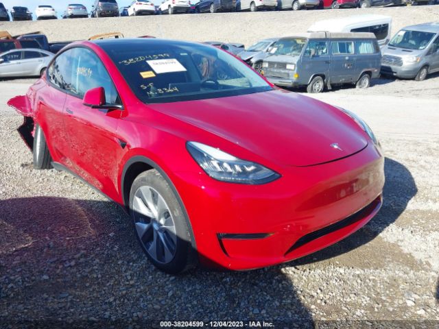 2020 TESLA MODEL Y 5YJYGDEE3LF031646