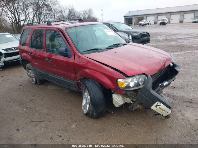 2007 FORD ESCAPE XLT SPORT/XLT VIN: 1FMYU93137KB37797