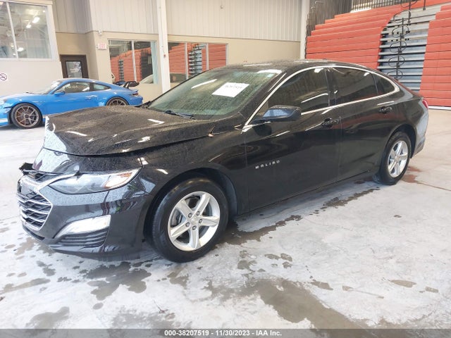 Chevrolet Malibu 1fl 2019 1G1ZC5STXKF185458 Image 2