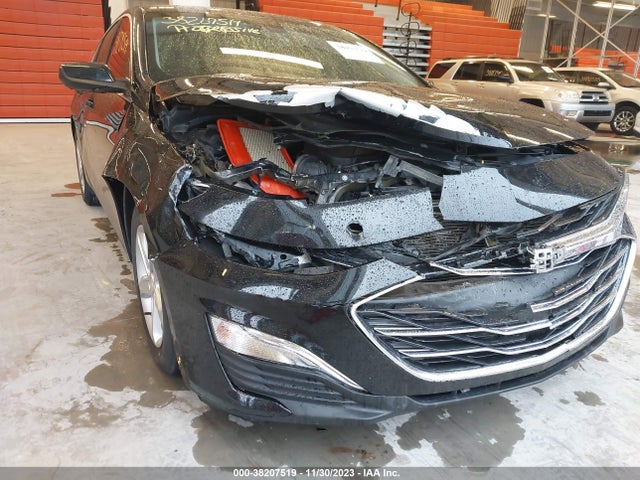 Chevrolet Malibu 1fl 2019 1G1ZC5STXKF185458 Image 6