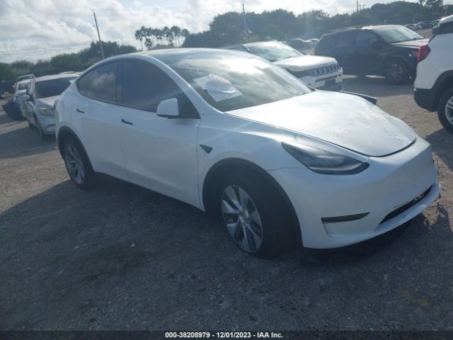 2023 TESLA MODEL Y 7SAYGDEE1PA113316