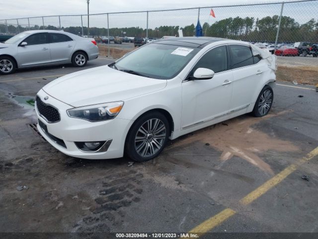 KNALN4D70F5181784 KIA Cadenza Premium