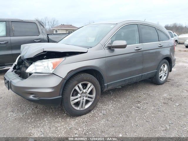 2010 HONDA CR-V EX-L VIN: 5J6RE4H74AL051383