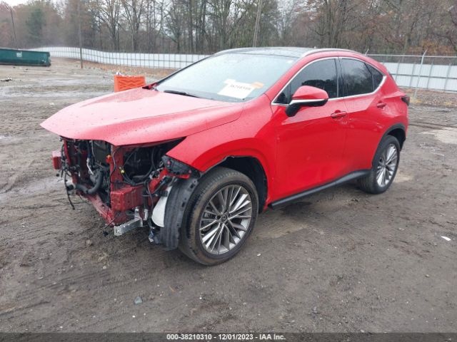 JTJHGCEZ3N2000705 Lexus Nx 350 Luxury