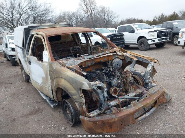 2013 FORD F-150 XL VIN: 1FTFX1EF3DKF67886