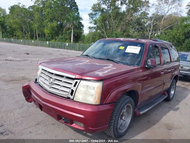 2003 CADILLAC ESCALADE STANDARD VIN: 1GYEC63T03R229911