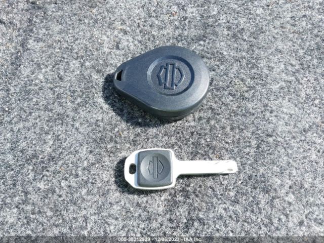 2018 HARLEY-DAVIDSON FLSL 1HD1YDJ12JC081965 Photo 10