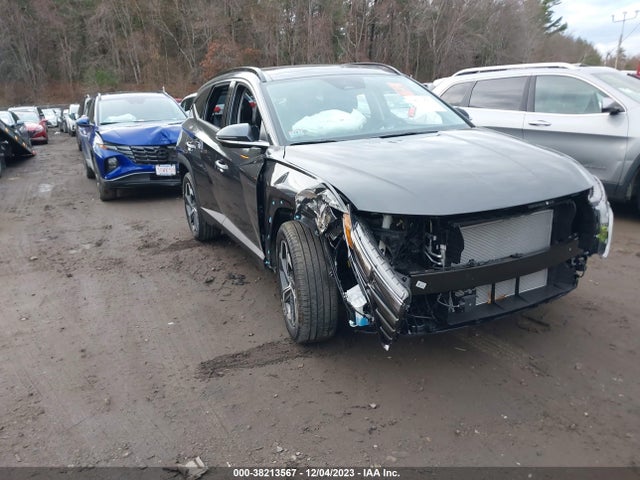 2024 HYUNDAI TUCSON LIMITED VIN: 5NMJECDE0RH323846
