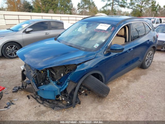 2020 FORD ESCAPE 1FMCU0H64LUC04206 Photo 1