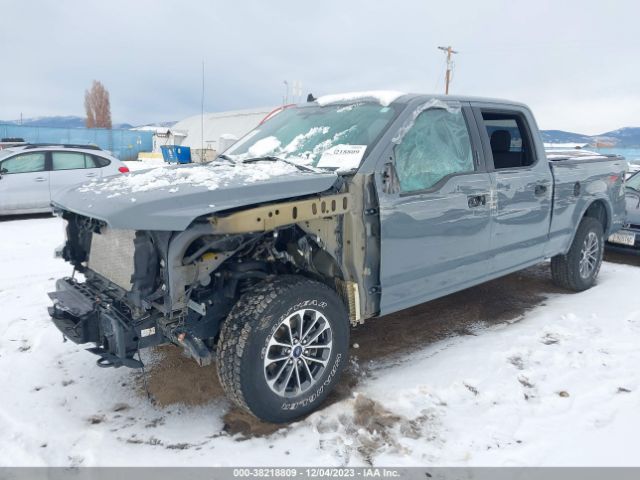 1FTFW1E47LKF18755 Ford F-150 Xlt