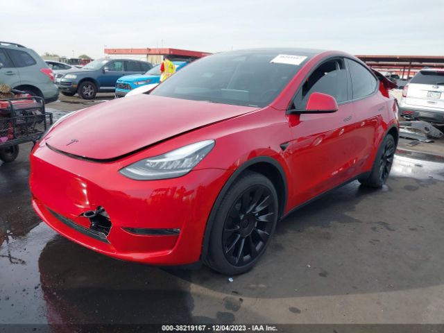 2023 TESLA MODEL Y 7SAYGDEE9PA150033 Photo 1